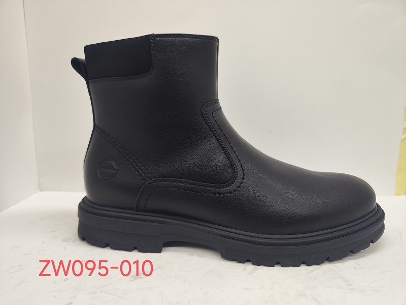 ZW095-010