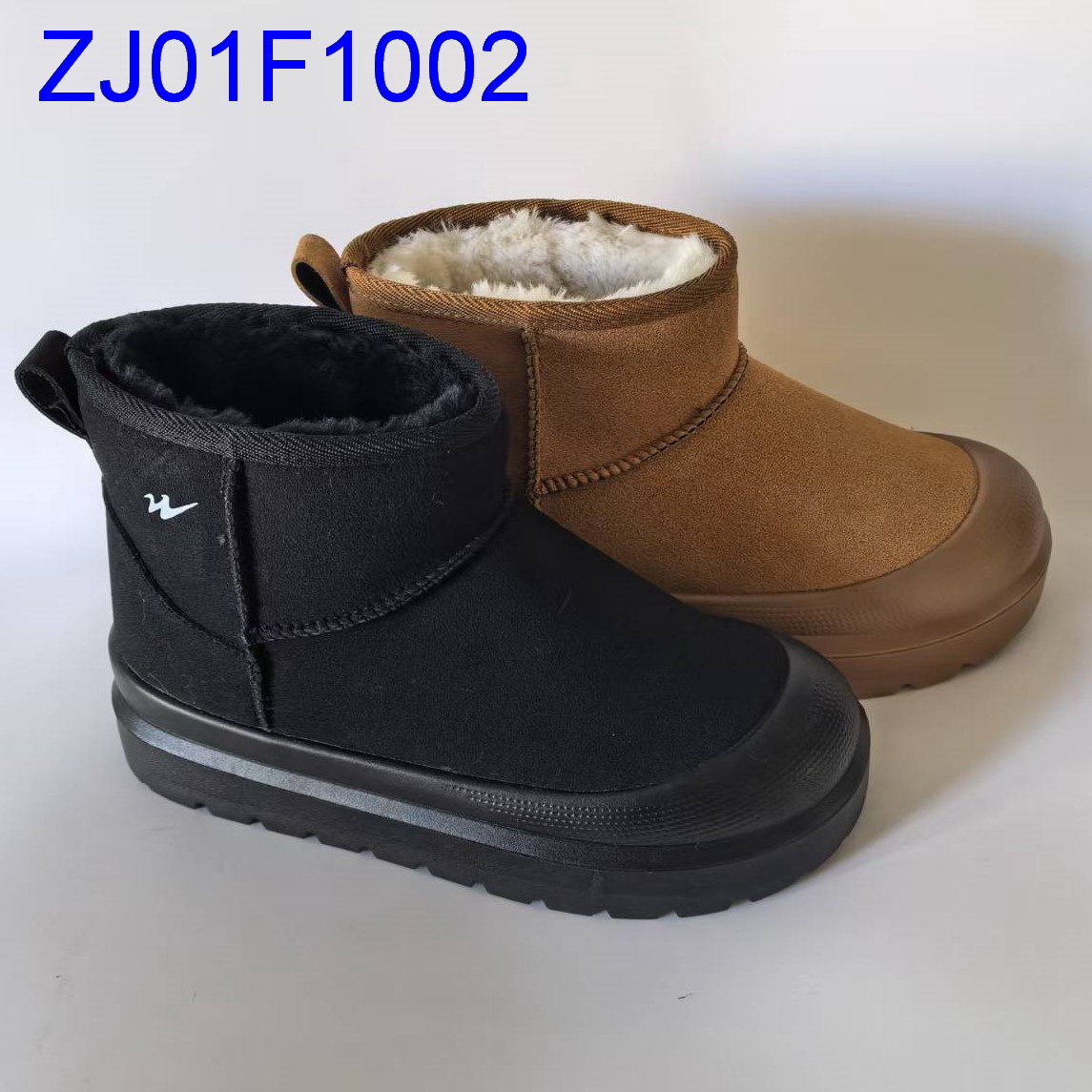 ZJ01F1002