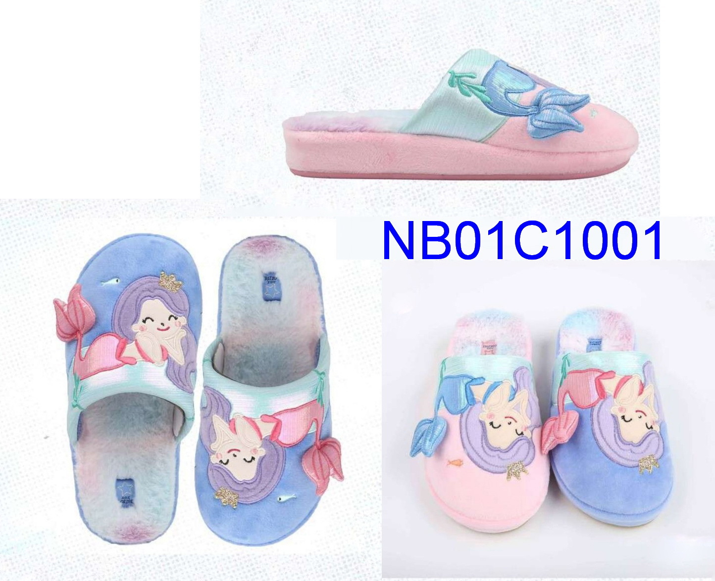 NB01C1001