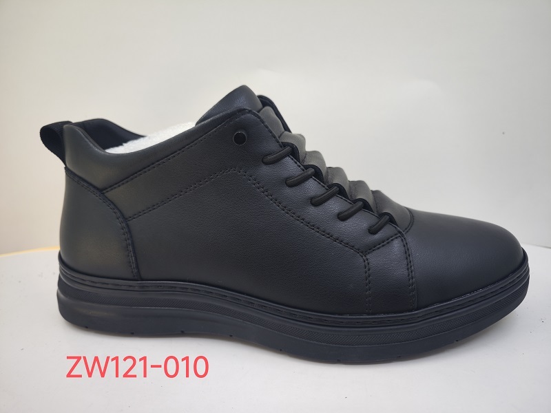 ZW121-010
