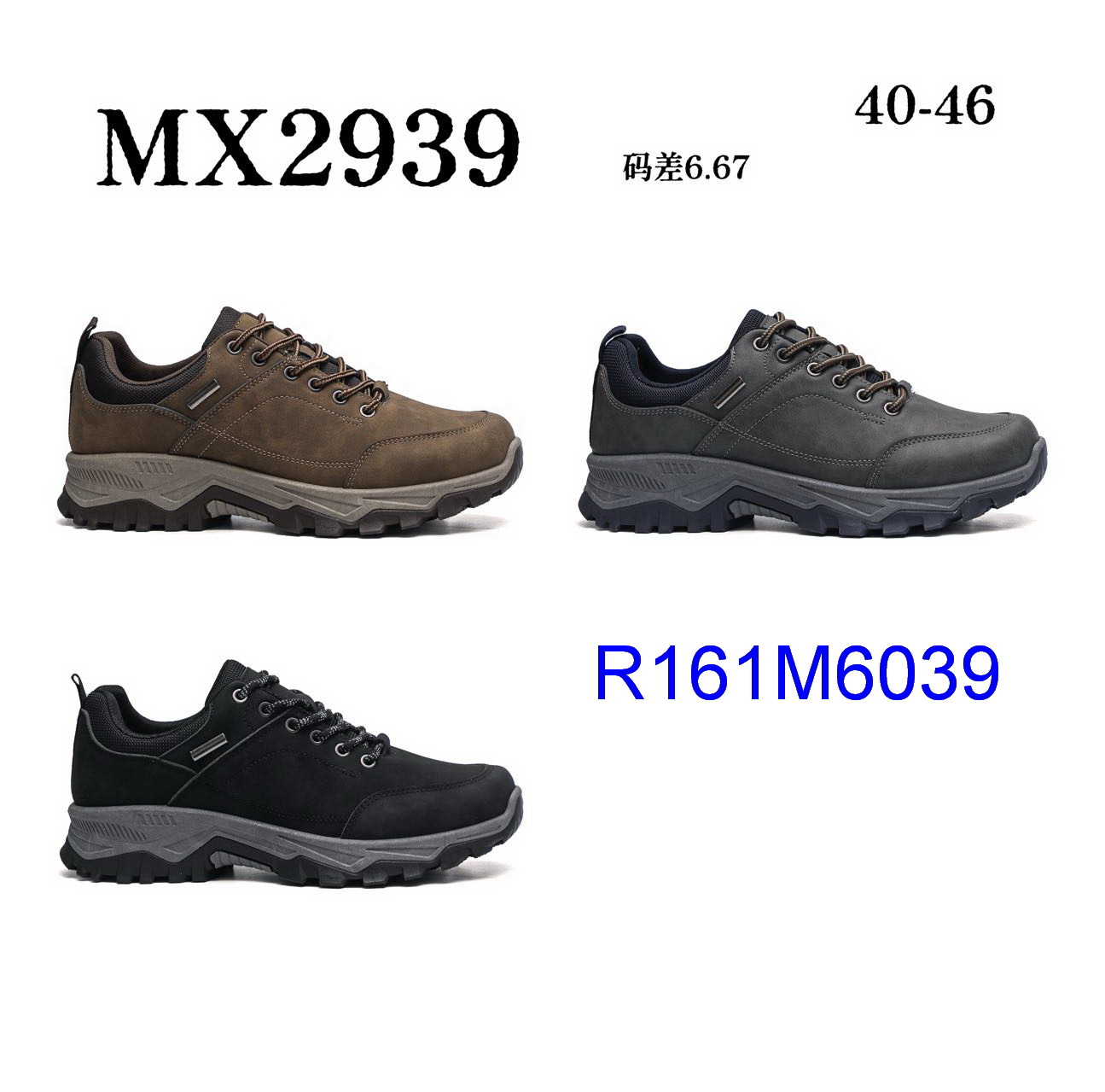 R161M6039
