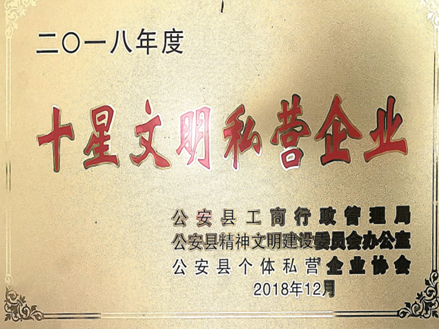 2018年度十星文明私營企業