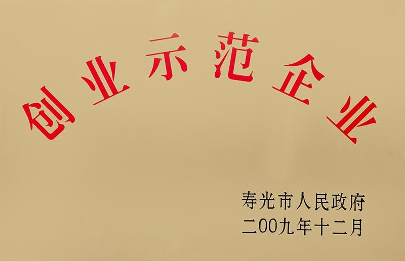 创业示范企业 创业示范企业