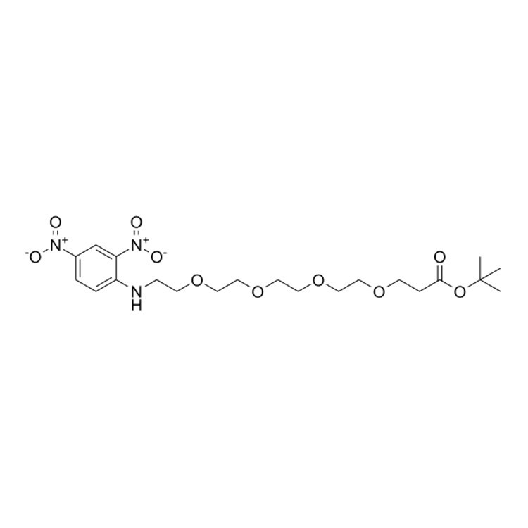 DNP-PEG4-t-butyl ester，DNP-NH-PEG4-C2-Boc