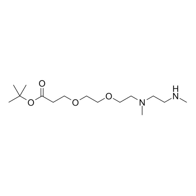 N,N'-DME-N-PEG2-tert-butyl ester，N,N'-DME-N-PEG2-Boc