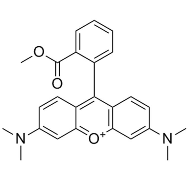 Tetramethylrhodamine，TMRM