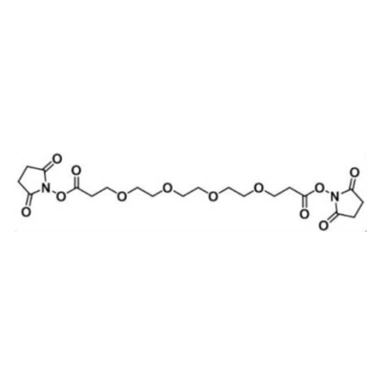 Bis-PEG4-NHS ester