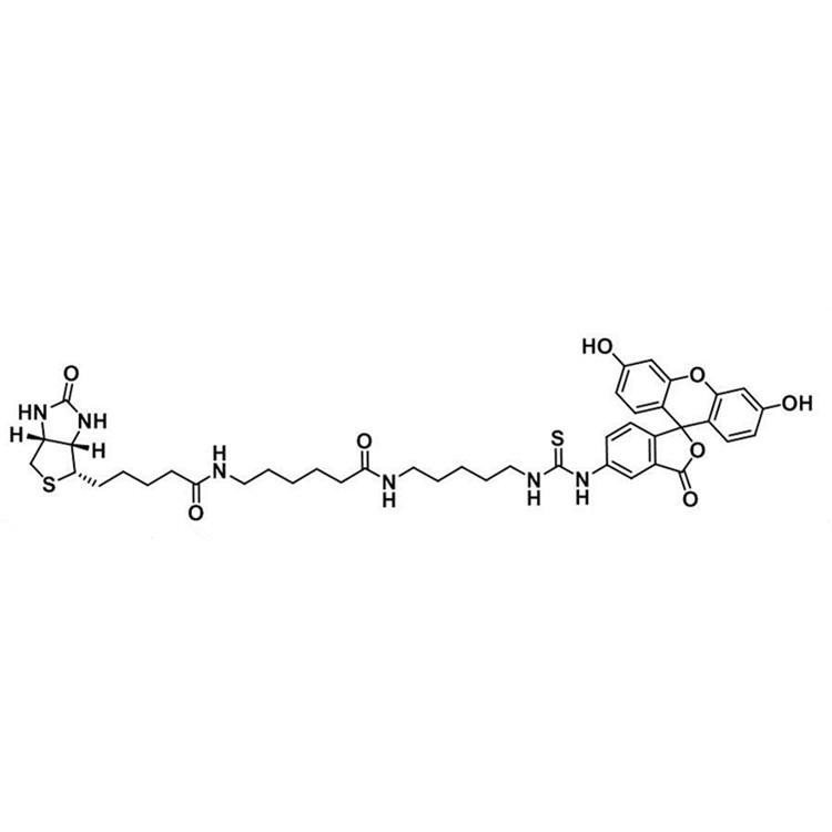 FITC-Biotin，Fluorescein Biotin