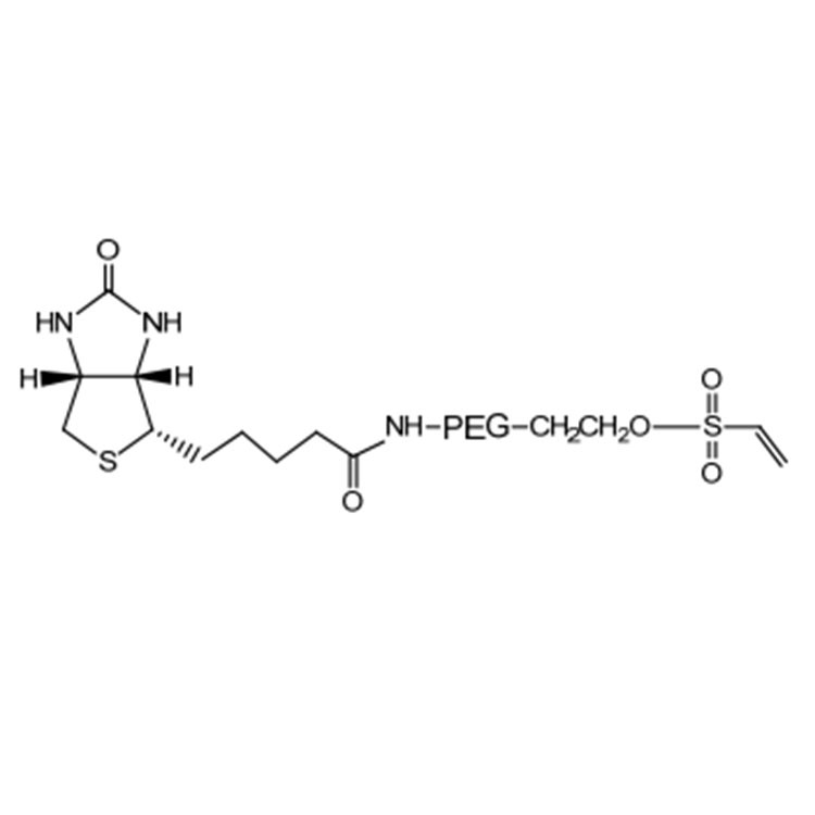 Vinylsulfone-PEG-Biotin，VS-PEG-Biotin，MW：1000