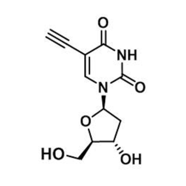 5-Ethynyl-2'-deoxyuridine (EdU)