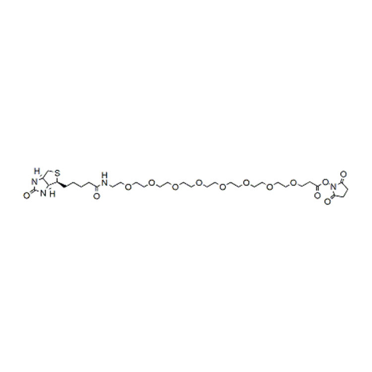 Biotin-PEG8-NHS ester