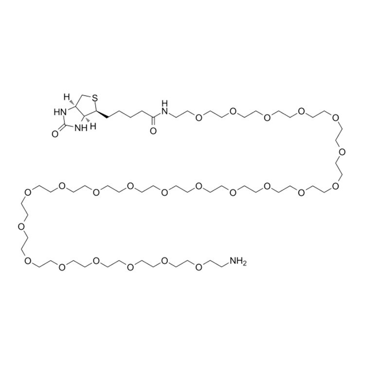 Biotin-PEG23-amine