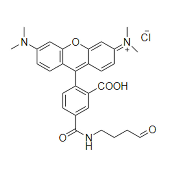 Rhodamine aldehyde，5-TAMRA aldehyde，5-TAMRA CHO