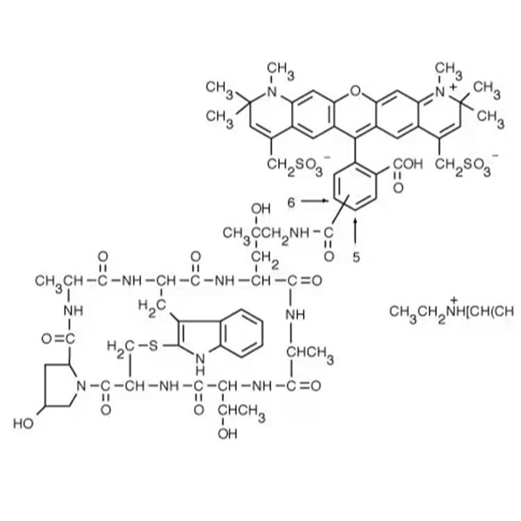 AF594 Phalloidin，AlexaFluor594 Phalloidin