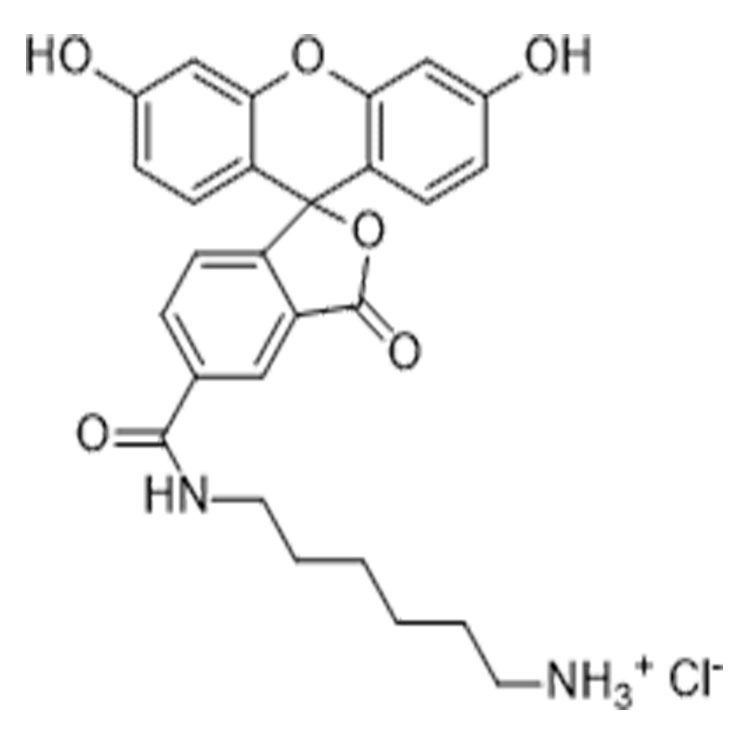 FAM amine, 5-isomer，5-FAM NH2