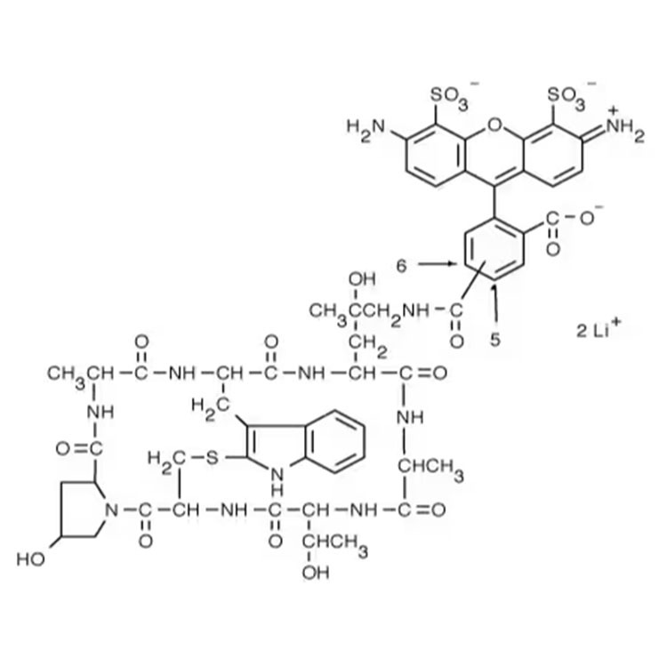 AF488 Phalloidin，AlexaFluor350 Phalloidin