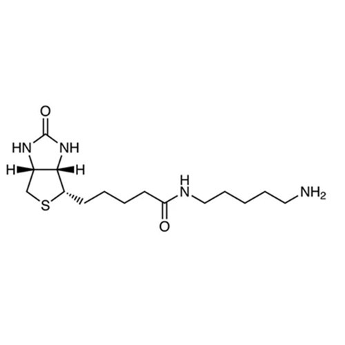 Biotin-C5-Amine，Biotin-C5-NH2