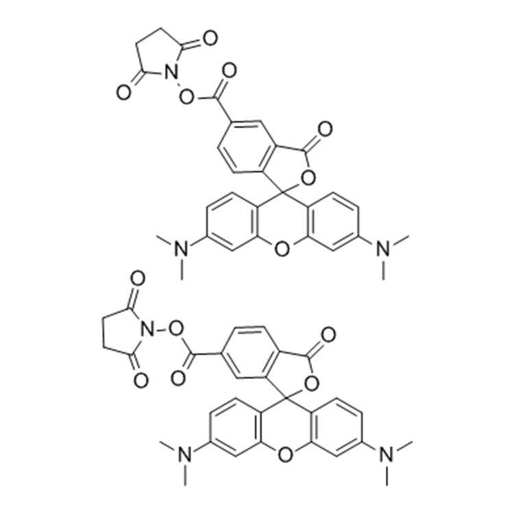 5(6)-TAMRA,SE，5(6)-Carboxy-tetramethylrhodamine N-succinimidyl ester