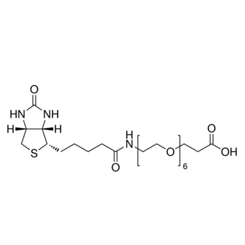 Biotin-PEG6-acid
