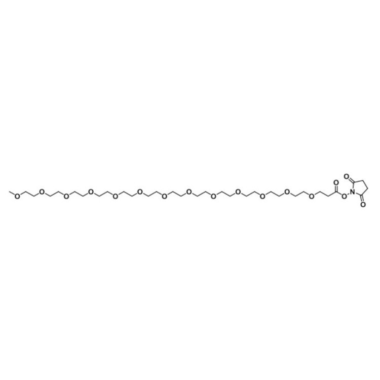 m-PEG13-NHS ester