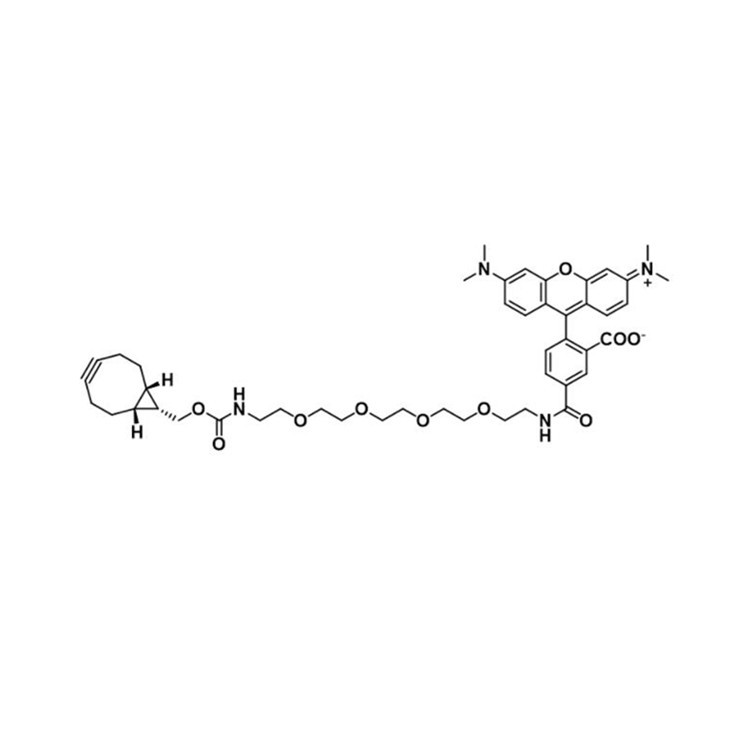 endo-BCN-PEG4-TAMRA