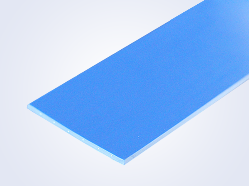 3.0 Blue PU Conveyor belt (meat separation)