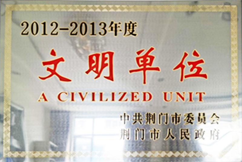2012-2013 annual civilization unit