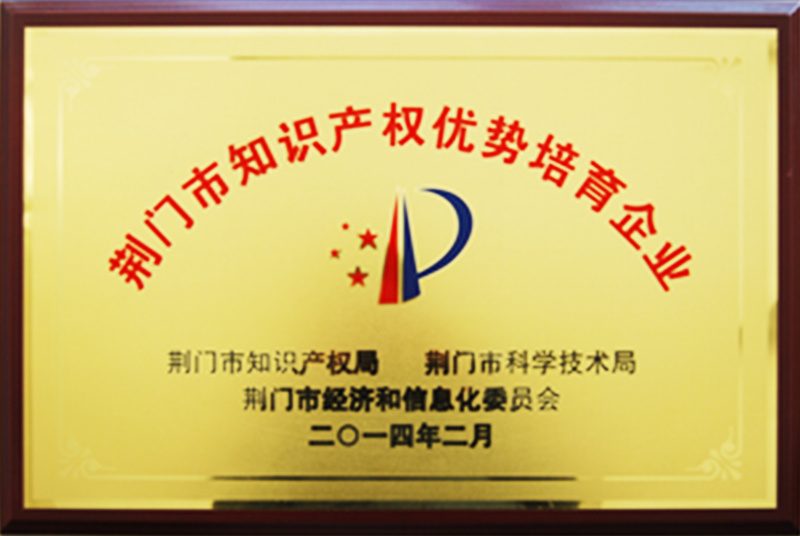 Jingmen City Intellectual Property Excellent Cultivation Enterprise