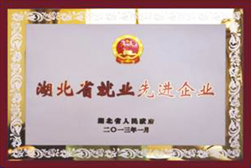 Hubei province employment advanced enterprises