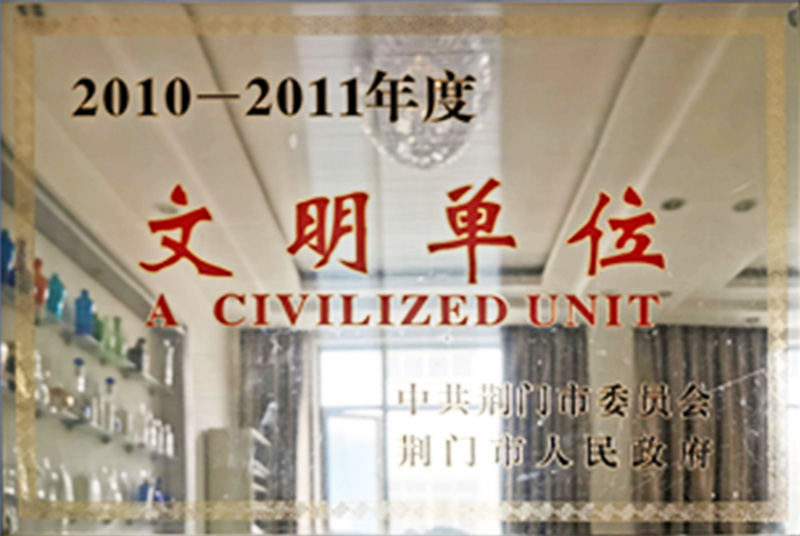 2010-11 Civilized Unit