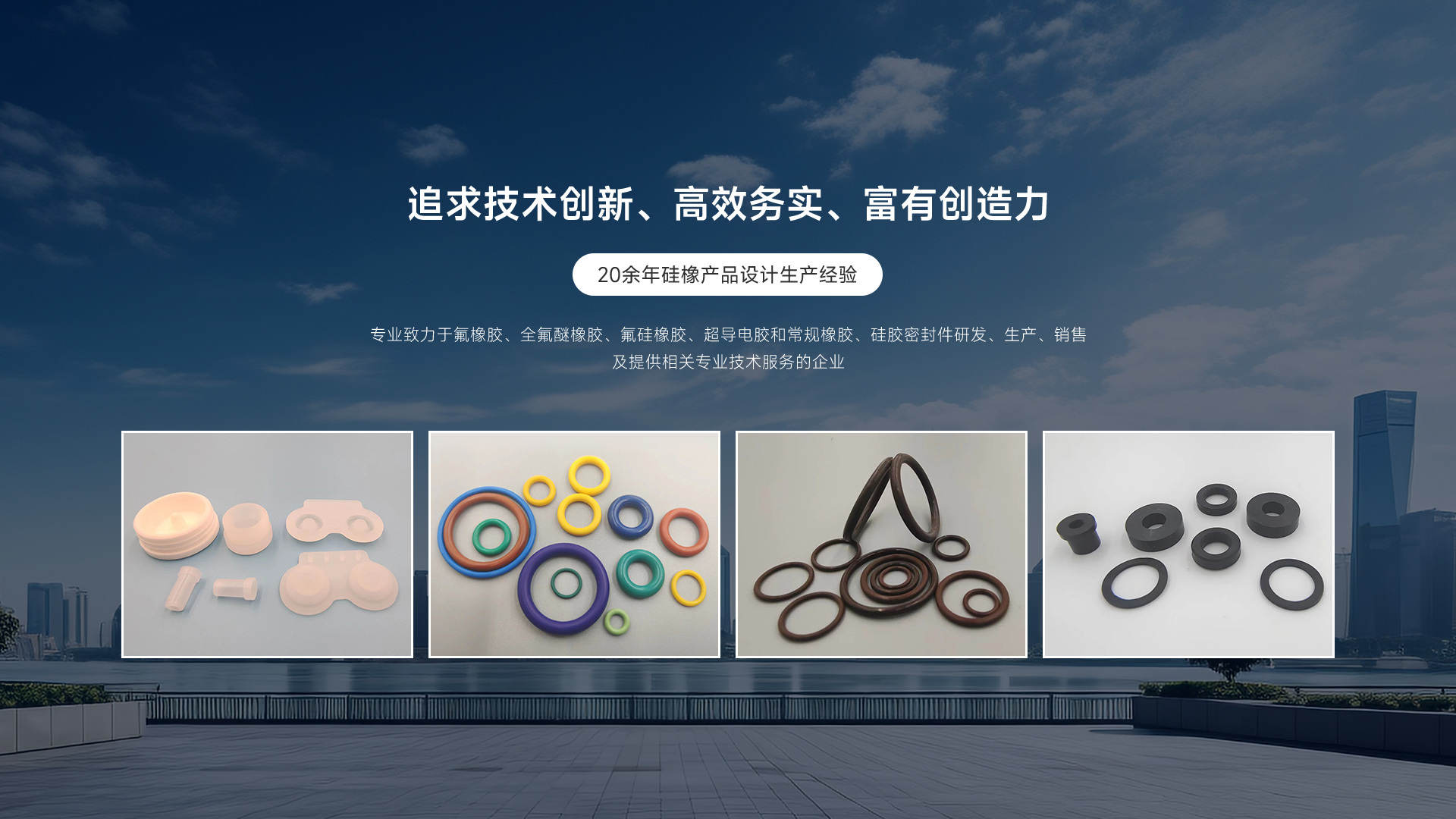 廣東希爾氟密封制品有限公司