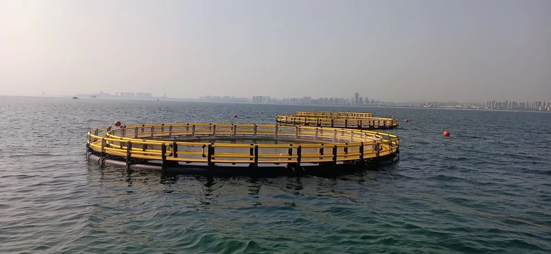 60-meter-long leisure cage in Laishan District, Yantai City
