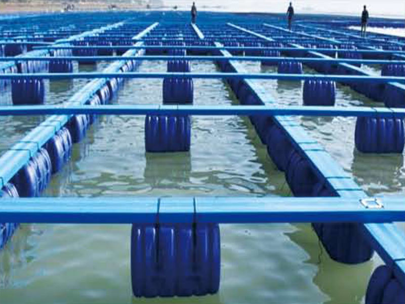 Square HDPE aquaculture fish raft