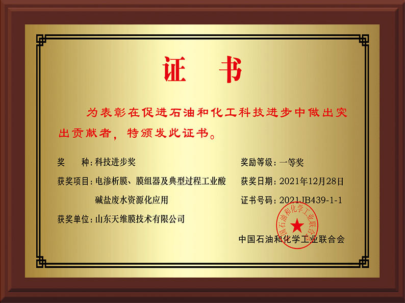 China Petroleum and Chemical Industry Federation Science and Technology Progress Award