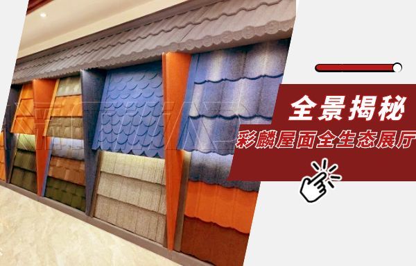 前瞻解密|全景揭秘37000Cm威尼斯一站式屋面系统解决方案展厅
