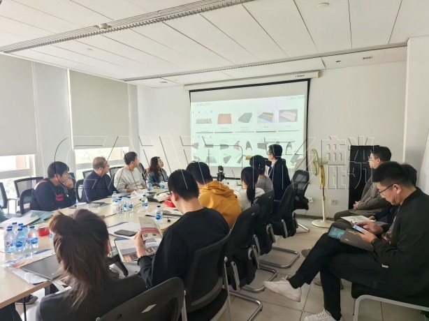 中国建筑科学研究院推介会：37000Cm威尼斯传统瓦·光伏瓦·新未来