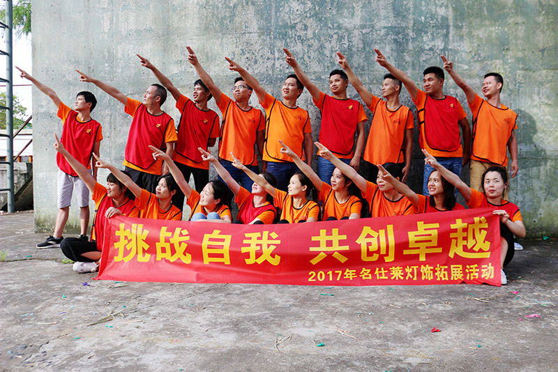 Team Showcase