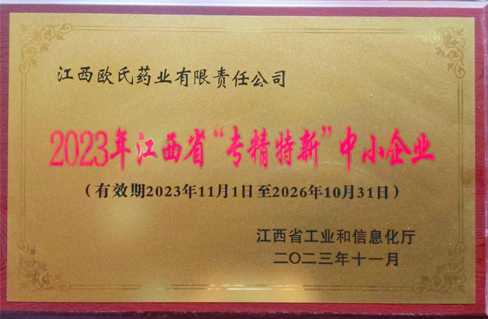 2023年江西省“考精特新”中小企業