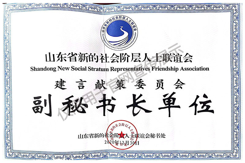 建言獻(xiàn)策副秘書長單位