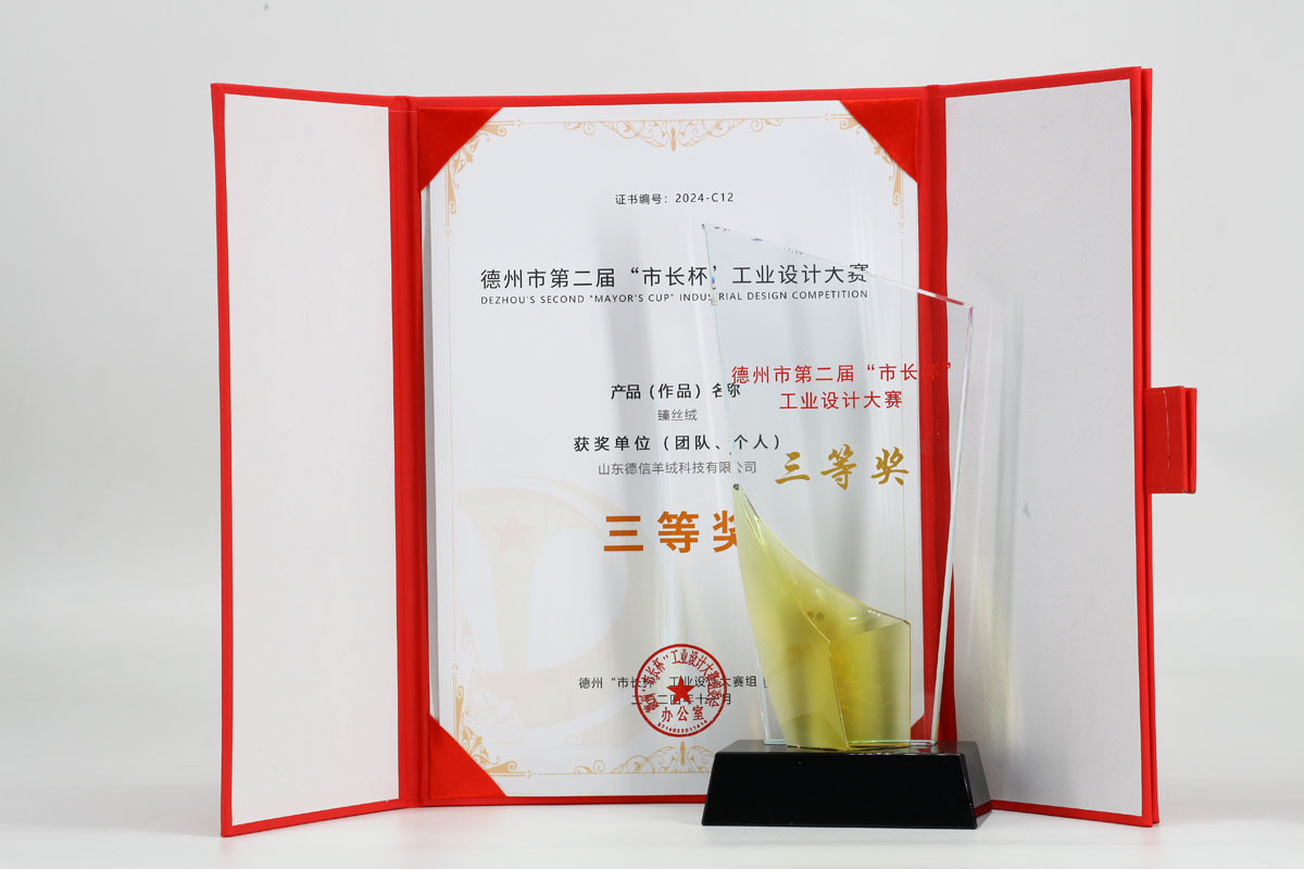 市長(zhǎng)杯-三等獎(jiǎng)