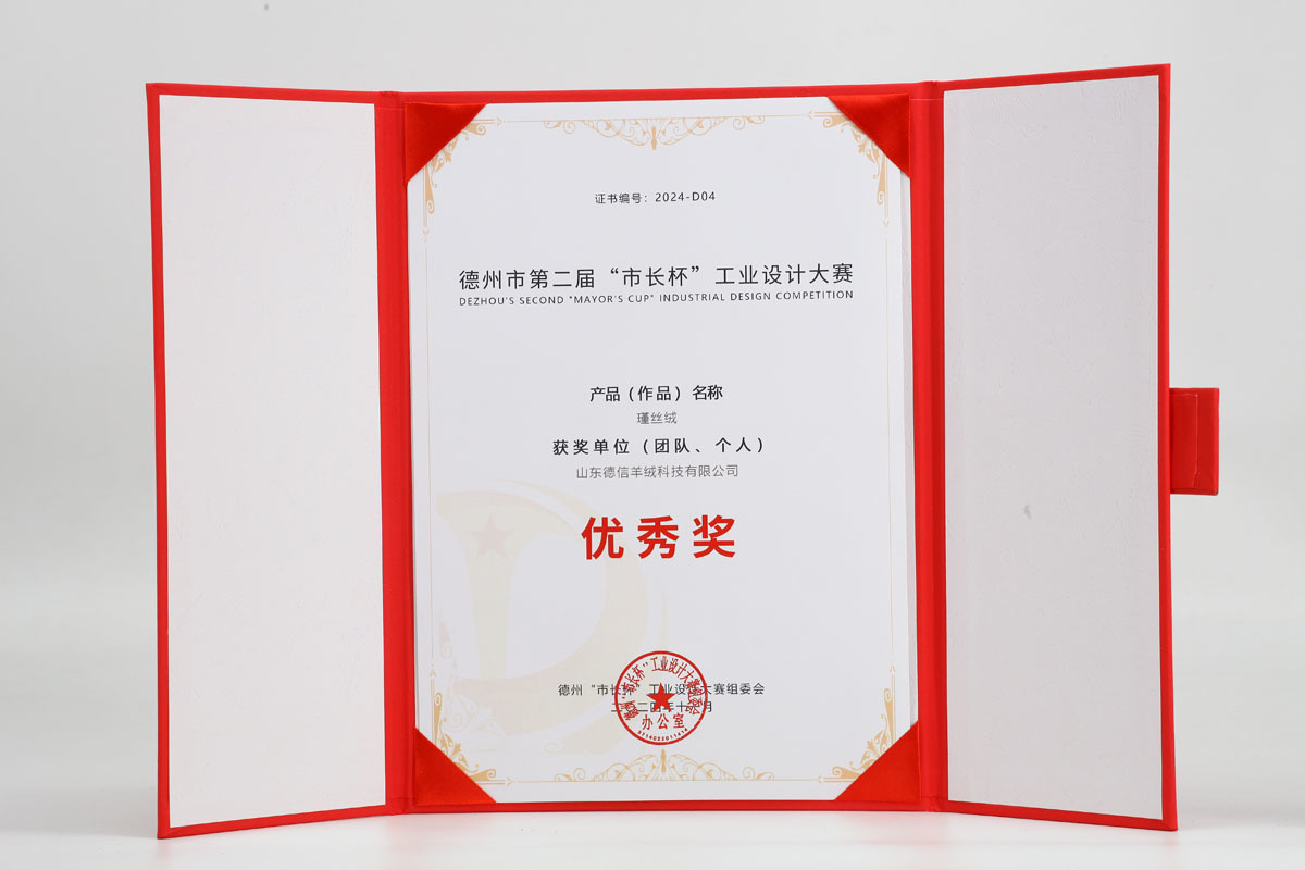 市長(zhǎng)杯-優(yōu)秀獎(jiǎng)