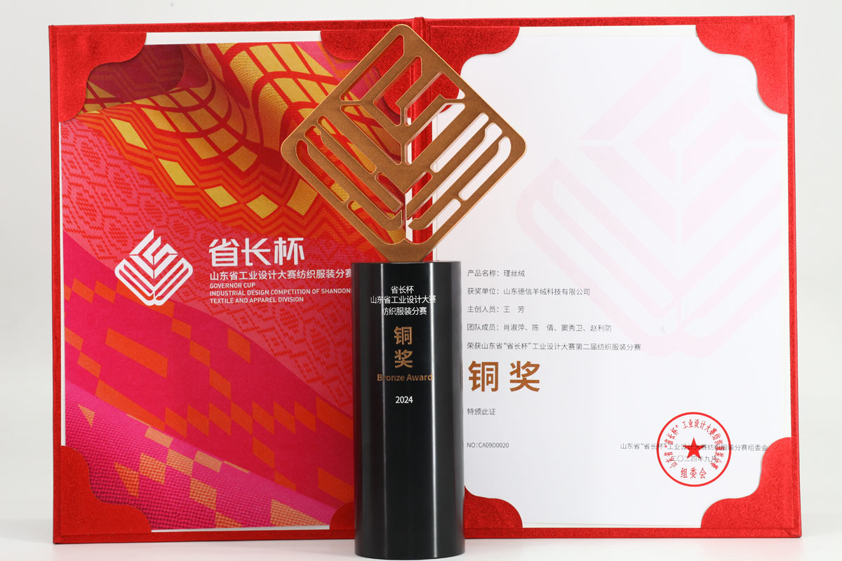省長(zhǎng)杯銅獎(jiǎng)