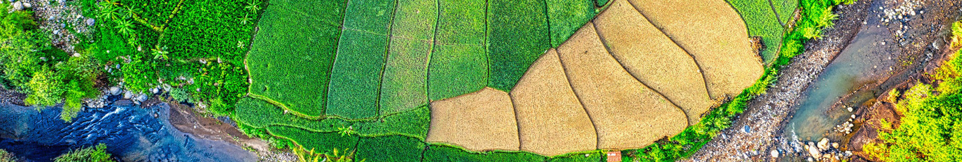 FÁBRICA VERDE