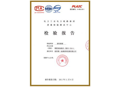 Test Report