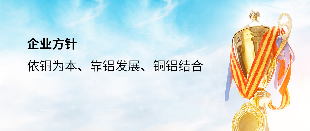企业方针