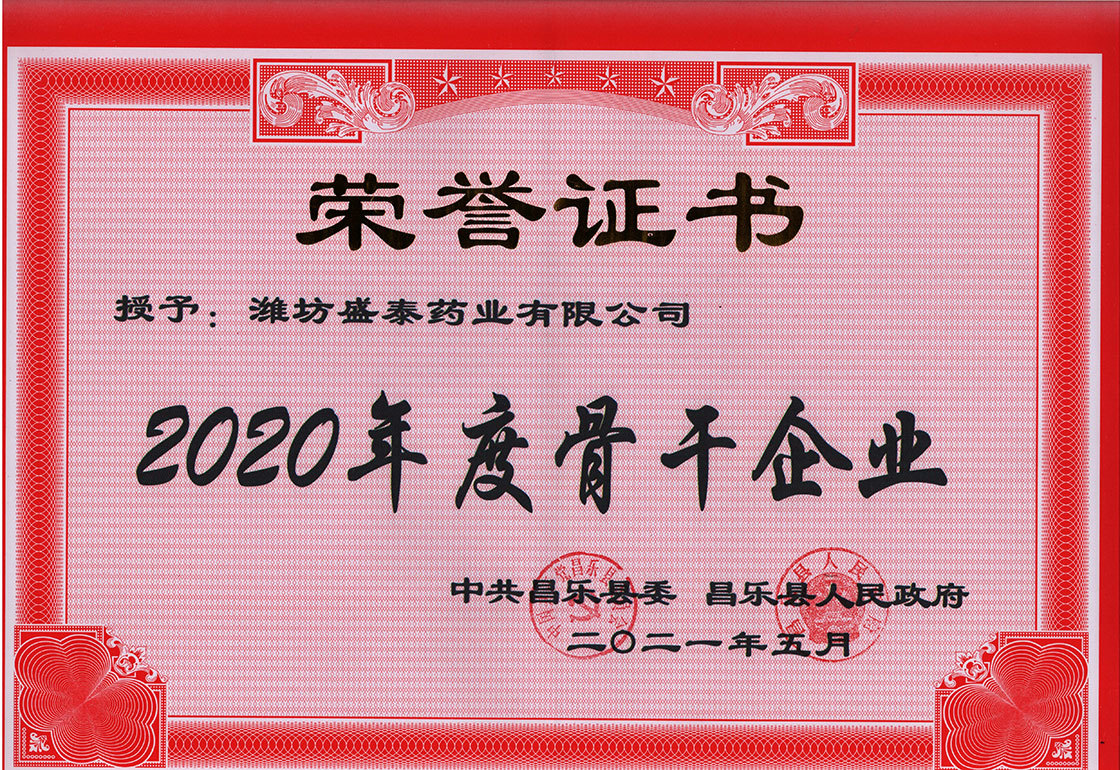 盛泰药业荣获昌乐县“2020年度骨干企业”