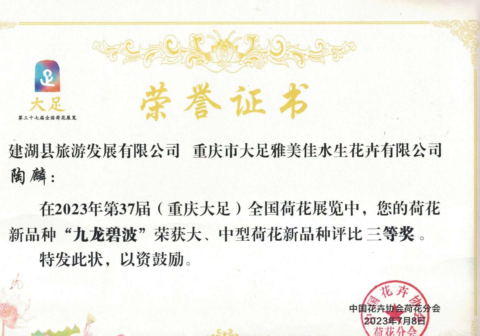 资质荣誉