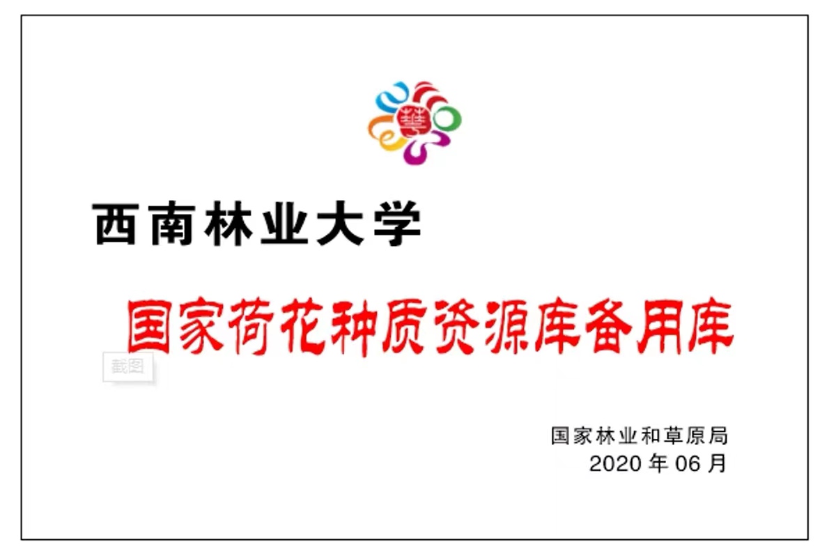 资质荣誉