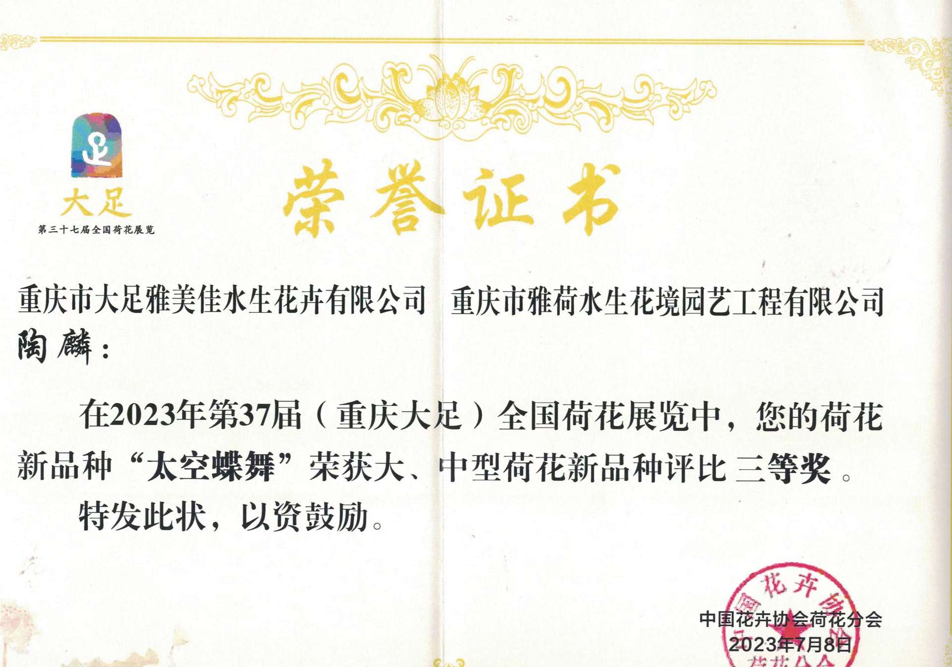 资质荣誉