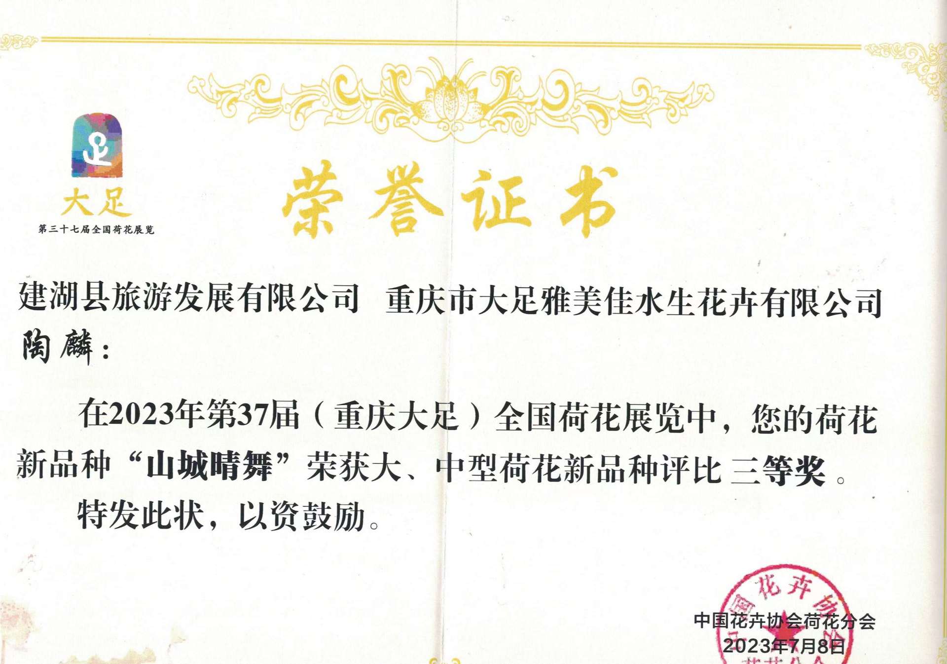 资质荣誉